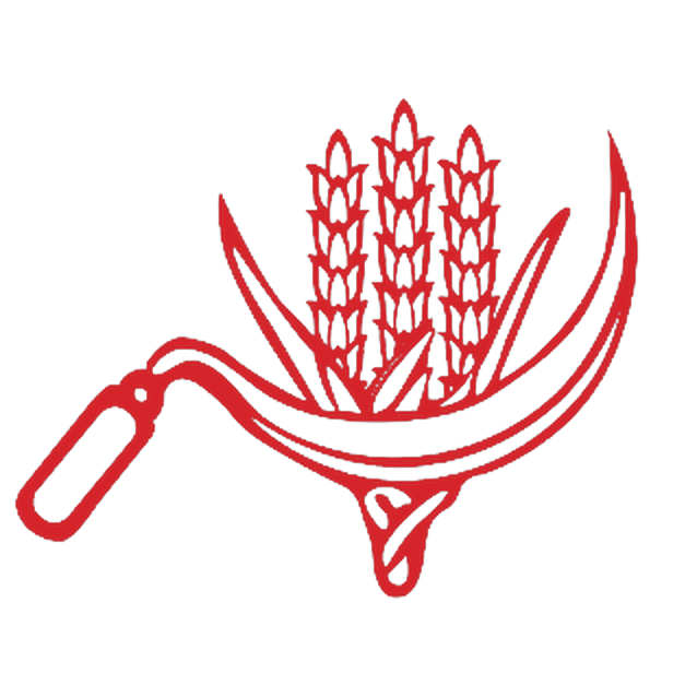 కంకి కొడవలి